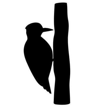 black woodpecker pecking tree silhouette clip art preview