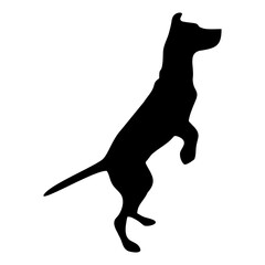 silhouette of a black dog standing
