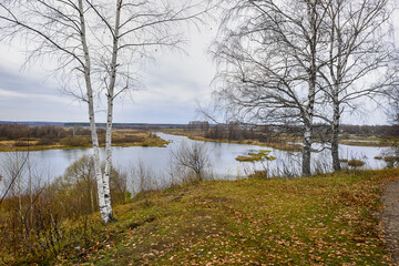 View of the river from the high bank on a cloudy autumn day. Birch trees with fallen leaves on the banks of the Teza River.