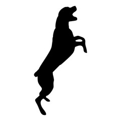 silhouette of a black dog standing
