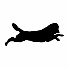 silhouette of a black dog standing
