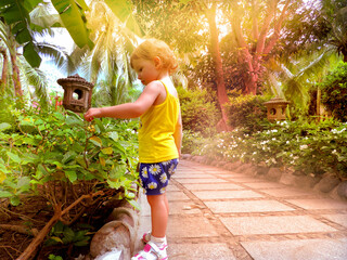 Child girl of three years old is walking in luxury tropical garden at sunset, courtyard. Luxury...