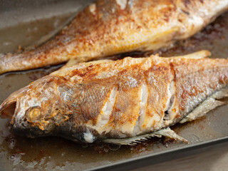 Grilled fish in a pan
