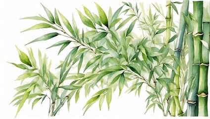 bamboo branche with your leaves water color illustration victorian