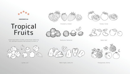 Isolated Tropical fruits outline illustration