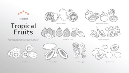 Naklejka premium Isolated Tropical fruits outline illustration