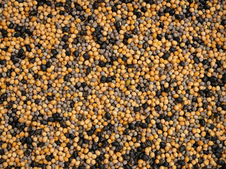 close up of a texture,various beans,