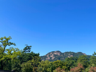 Fototapeta na wymiar landscape with blue sky