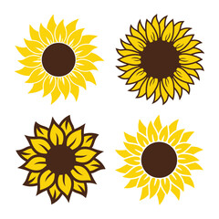 set of sunflowers vector