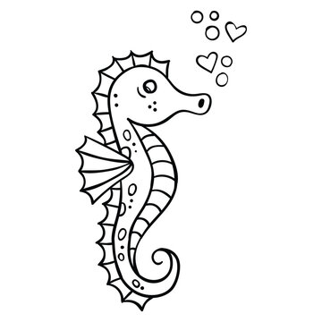 Hand drawing style of sea horse vector. It is suitable for sea creature icon, sign or symbol.