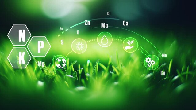 Green grass clodeup.Ecology concept. Eco.Chemical elements.CO2 reduse.4k corporate video
