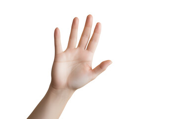 Human hands and gestures on background