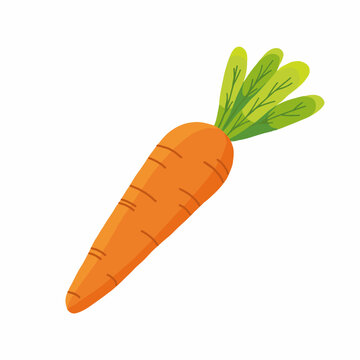 Vibrant Orange Carrot Doodle Brightly Colored Carrot Illustration With Green Tops on White Background