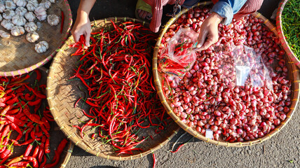The hands of a buyer are sorting and choosing fresh chilies from rattan trays then put into plastic...
