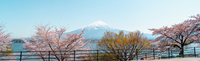 Mount Fuji with cherry blossom at Lake kawaguchiko in japan