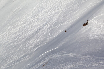 Snow skiing off-piste - 726223764