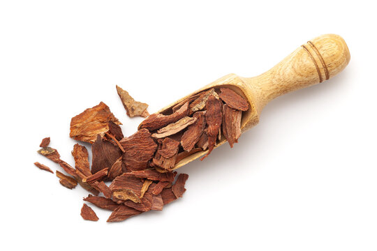 Top view of Dry  Organic Arjuna Barks (Terminalia arjuna) barks, in a wooden scoop. Isolated on a white background.