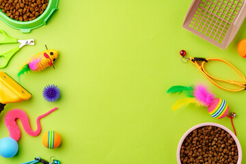 Pet bowl with dry food and toys on color background studio shot