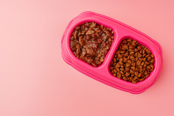 Dry pet food in bowl on color background