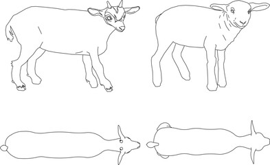 Vector sketch illustration design of animal image of goat and sheep