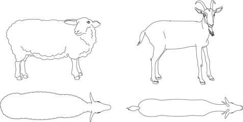 Vector sketch illustration design of animal image of goat and sheep