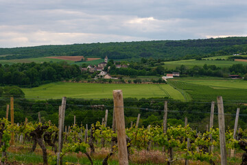 Fototapeta na wymiar Vignoble bourguignon avec un village dans le paysage