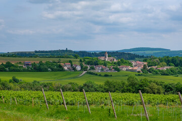 Fototapeta na wymiar Paysage viticole en Bourgogne, avec un village au deuxième plan