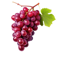 grapes on a transparent background