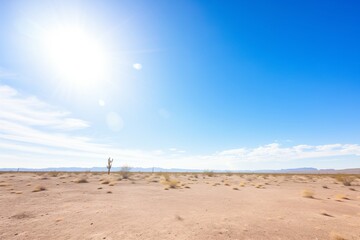 bright sun-filled blue sky over a desert hardiness zone
