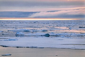 Ice floes in a calm Arctic ocean