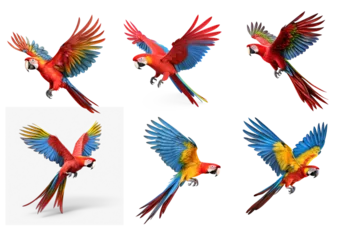 Tragetasche Collection of parrot with beautiful color © KimlyPNG