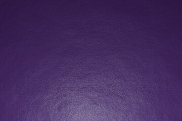 Leather texture, flat view. The name of the color is rebecca purple