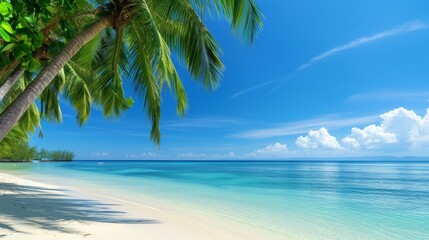 Idyllic beach panorama with palms, perfect tropical banner