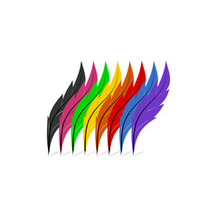 Different feather silhouettes and colored feathers icon isolated on transparent background