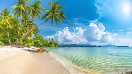 Long panoramic banner, tropical beach with idyllic palms