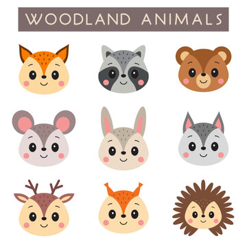 Woodland animals portrait set. Cute fox, raccoon, bear, mouse, rabbit, wolf, reindeer, squirrel, hedgehog. Cartoon vector illustration