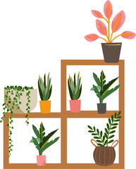 Houseplant Illustration