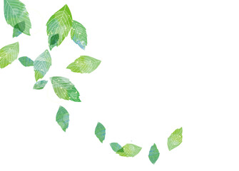 爽やかな緑の葉が舞う背景素材