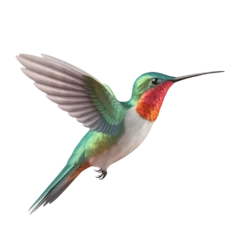 Tapeten Kolibri Cartoon Hummingbird PNG Cutout, Generative AI