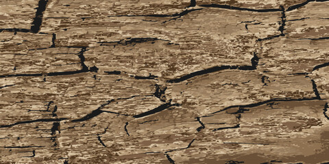 Rotting old wood. Texture of aged rotten wood. Vector illustration