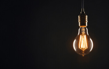 Glowing Incandescent Bulb in Darkness. The bulb, suspended from a black cord, casts a warm, golden glow