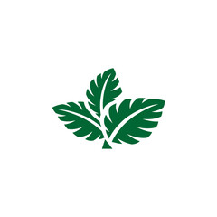 green leaf vector element nature