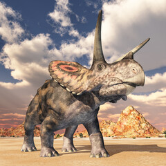 Dinosaurier Torosaurus in einer Wüstenlandschaft - 726275125