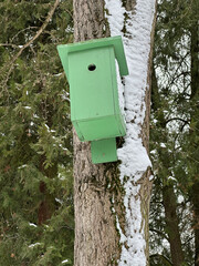 Wooden bird feeder on a tree in winter time