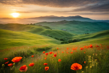 Sunset Glow over a Meadow of Poppies and Green Hills - Beautiful Spring Landscape in Italian Tuscan Style