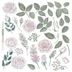 Watercolor white roses, green leaves, lilac, eucalyptus in a pastel palette in vintage style for wedding, Women's Day, Valentine's Day for template, clipart, wallpaper, scrapbooking, bouquet, wreath