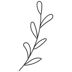 Spring flowers doodle in hand drawn style. Floral and leaves elements.