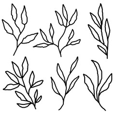 simple hand drawn leaf line art