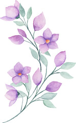 Watercolor purple flower arrangement