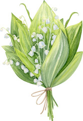Obraz premium Hand Drawn Watercolor Bouquet Of Lily Of The Valley